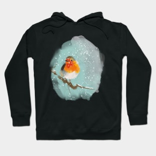 Robin on a tree branch in the snow Hoodie